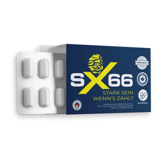 Boîte SX66
